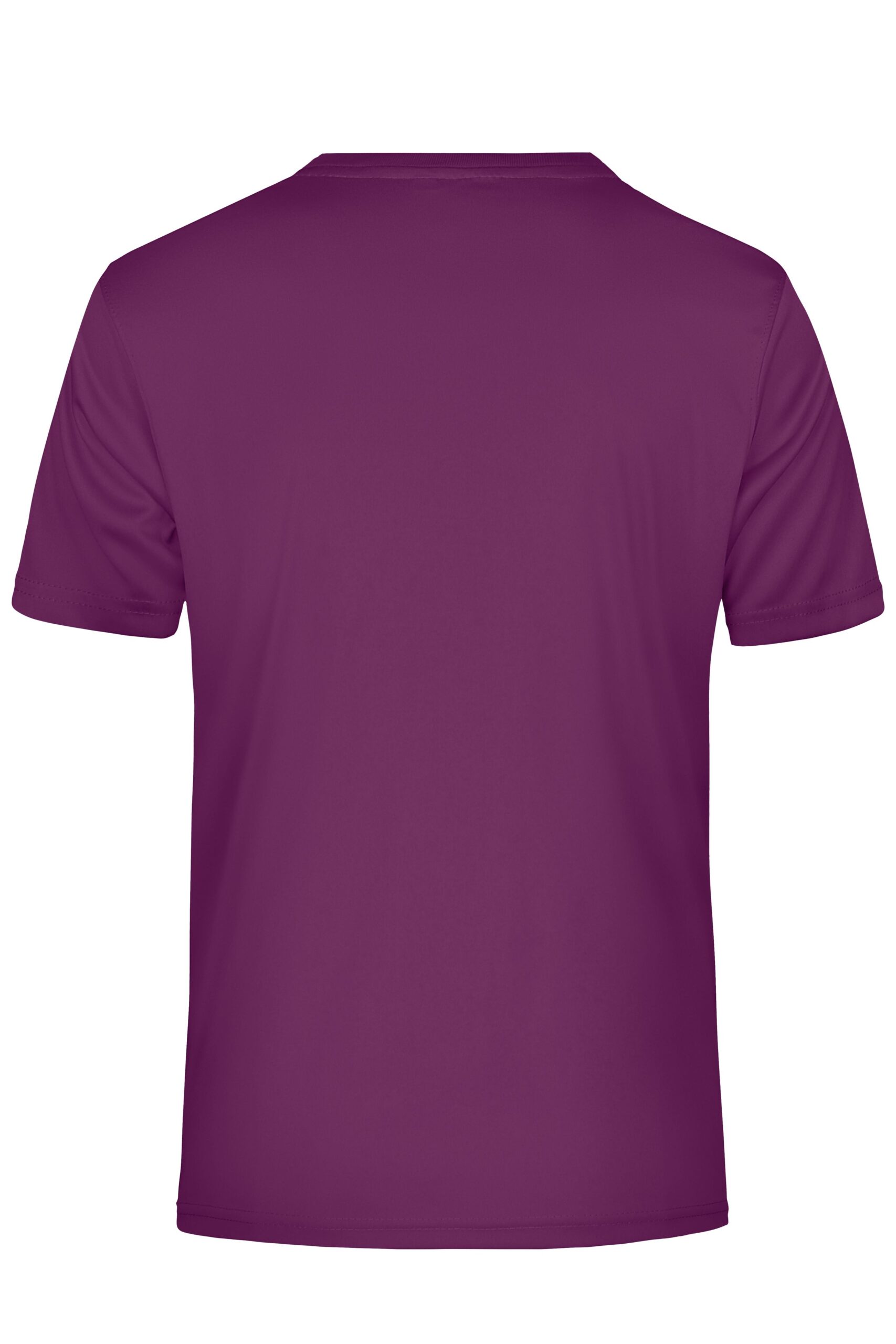 James & Nicholson Men's Active-T JN358